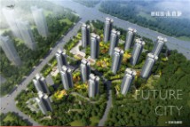 碧桂园·未来城鸟瞰图