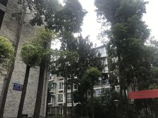 七彩花都A区2室1厅西南东北