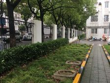 嘉定老城·南苑九村·精装自住 三房朝南