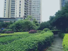 南坪 浪高美阁一房35万