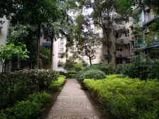 南坪 洋河南滨花园四房
