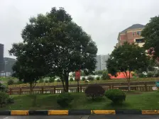 南苑九村两房朝南采光好刚需上车