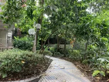 枫丹苑(九龙坡) 2室1厅 东北