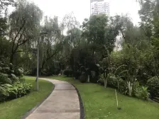 此房视野开阔,清水两房,楼层适中,看房方便视野开阔