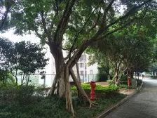 融侨 金辉融侨半岛香弥山2号二房65万