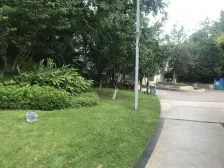 南滨六号 0室0厅 东北