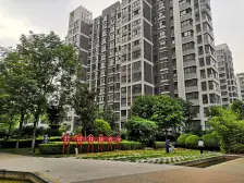 碧沙岗医学院多层低楼层 标准三房采光充足