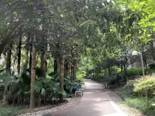 近轻轨 有万达 简单装修 改三房 环境优美 安静舒适