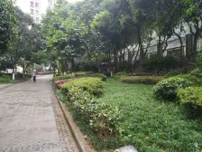 佣金3666元 融侨 金辉融侨半岛香弥山2号三房80万