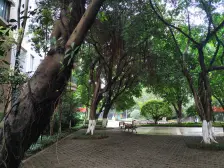 融侨 融侨云满庭B区四房133万