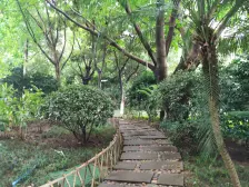 融侨大社区 住家舒服 看房方便 鸟语花香 随时看房