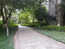 南滨路上精装看江2房产权70年拎包入住随时看房