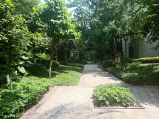 南滨路看江小跃层,视野开阔无遮挡楼下就是公园