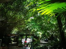 西区花园花园洋房 4室1厅 东南