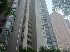 南滨路一线江景 视野好 随时看房 业主诚售,看房方便