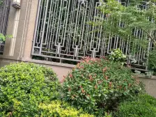 低密度叠加带产权车位,私密性极高的小洋墅