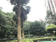 汽博中心 保利高尔夫公馆五房225万