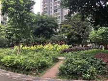 九龙坡 袁家岗 轻轨站旁 采光充足 住家安静 带外阳台