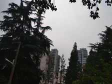 繁华地段,品质小区,居家装修,诚意出售