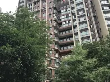 板式结构,业主诚心,看房方便,采光充足