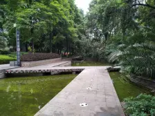 同天观云邸 3室2厅 东南