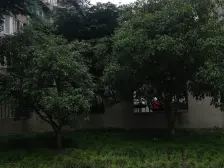 小区中间位置+电梯房+中间楼层+采光好+有钥匙