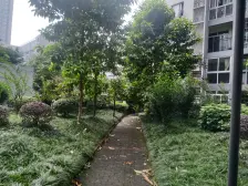 二郎 巴国锦苑一房43万