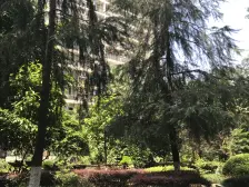 加州新牌坊 大众御湖苑六房175万