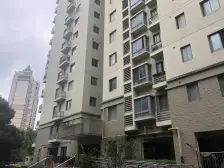 全明户型+精装修+电梯中区+门店主推+近地铁