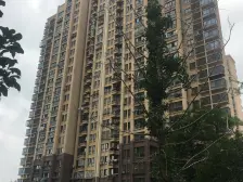 2013年电梯房 在建19号线地铁口200米 双南三开间朝南