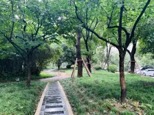 上海滩新昌城 3室2厅 东 南