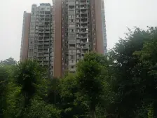 弹子石森林小区,精装三房单卫,居家安静,拎包入住