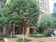 融侨 融侨半岛彩虹道三房90万