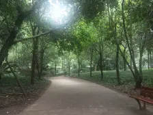 金港尚城 3室2厅 东南