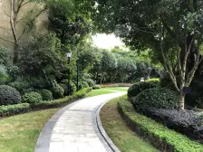 寰宇天下观澜苑A区 5室1厅 东南