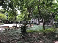 寸滩 北岸印象二房52万