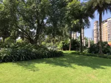 金科品质板大平层 楼层适中 住家安静 有阳台看泳池