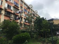 ???出门即商场+一口价房源+星河湾做邻居+随时看