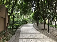 五里店大四房,东南朝向看中庭.