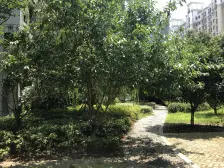 胥江·奥体**公寓·7室·3厅