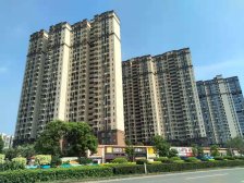 新世纪领居D区精装一房,高楼层,景观好,随时看房