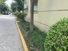 近地铁,产权清晰 无抵押 采光好 新上房源