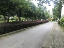 颛桥·翔泰苑·2室·2厅