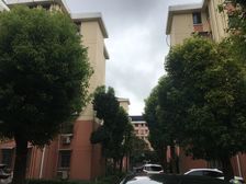 花木街道,7号线旁,新上西边套,全明2房,随时可看