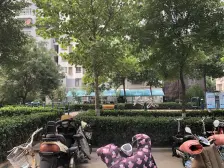 东方新天地 1室1厅 南