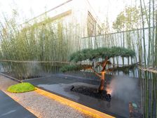 中开厅,毛坯三居室,临河新社区