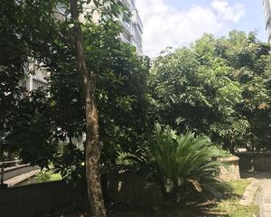 武夷绿洲二期4室2厅南北