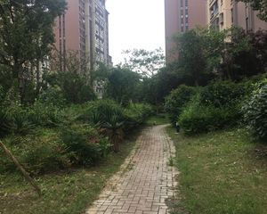 2013年电梯房 在建19号线地铁口200米 双南三开间朝南