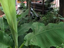 漕河泾·桂林苑·2室·1厅