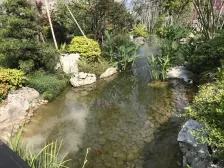 泰禾大城小院 3室2厅 南 北